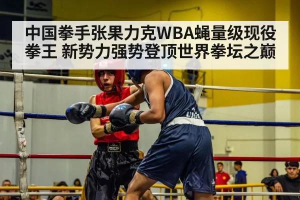 中国拳手张果力克WBA蝇量级现役拳王 新势力强势登顶世界拳坛之巅
